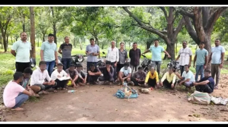 गोबरवाही पोलिसांची कोंबडा जुगारावर मोठी कारवाई; ४ लाख ३६ हजारांचा मुद्देमाल जप्त