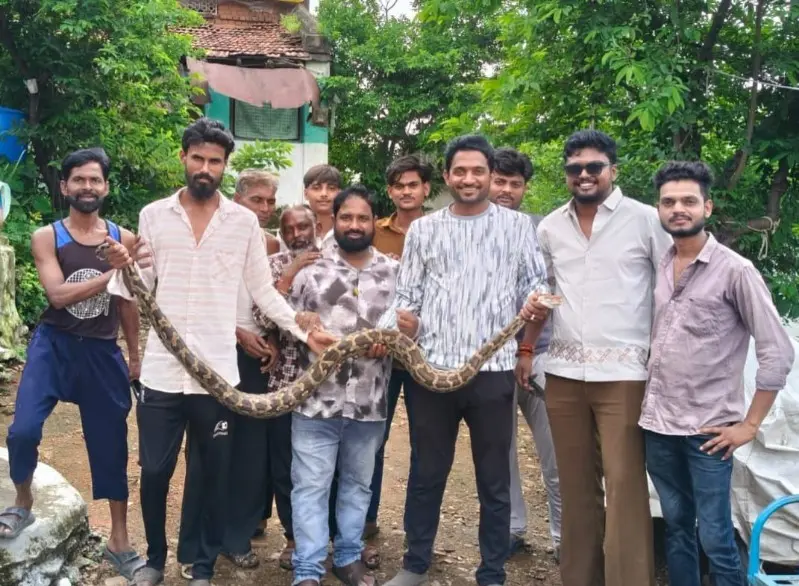 Snake_copy_800x586