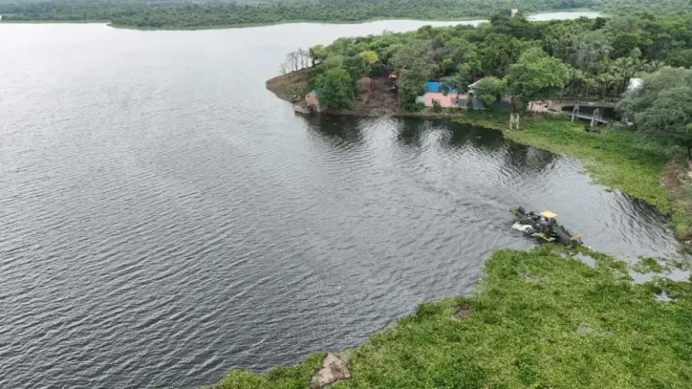 अंबाझरी तलाव जलपर्णीच्या विळख्यातून मुक्ततेच्या मार्गावर