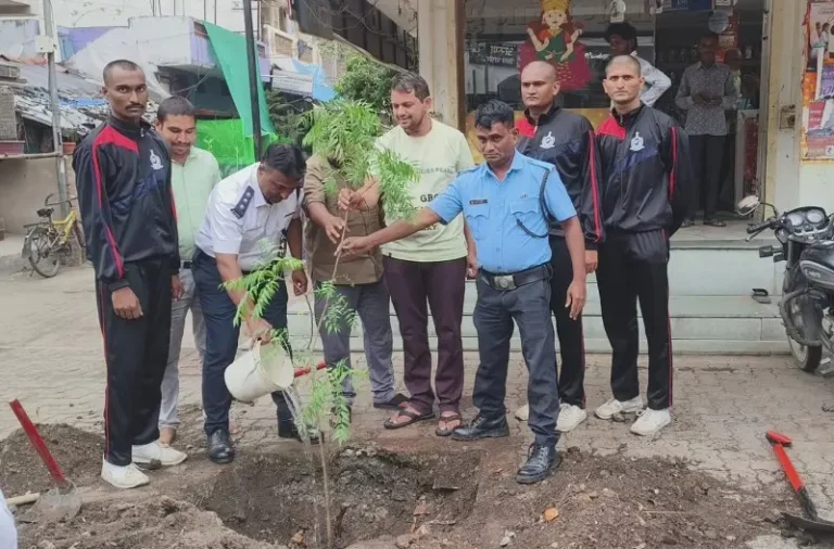 झाड पडलेल्या ठिकाणी “वृक्षारोपण”