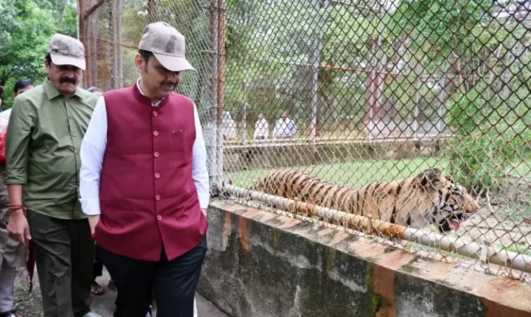 गोरेवाडा आंतरराष्ट्रीय प्राणी उद्यानातील कामांना नव्या ‘टाइमलाईन’ने गती द्या – मुख्यमंत्री देवेंद्र फडणवीस