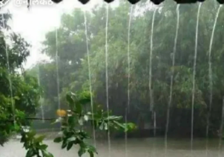 पावसाची उघडीप ठरतेय शेतकऱ्यांसाठी धोकादायक