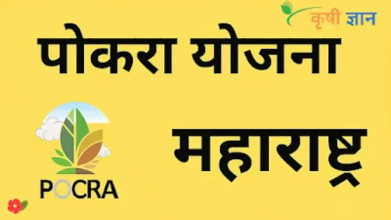 ‘आंतरराष्ट्रीय कृषी विकास निधी IFAD/जागतिक बँकेच्या ‘केम’ (CAIM – ₹५९३ कोटी) नंतर आता पोकराच्या ₹८,००० कोटींवर कृषी विभागाचा दरोडा;भारत रत्न नानाजी देशमुखांच्या नावाने सुरू असलेल्या प्रकल्पात भ्रष्टाचार ही सत्ताधारी भाजपसाठी अत्यंत लाजीरवाणी बाब!