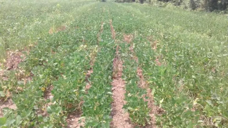 images(48)_copy_800x450