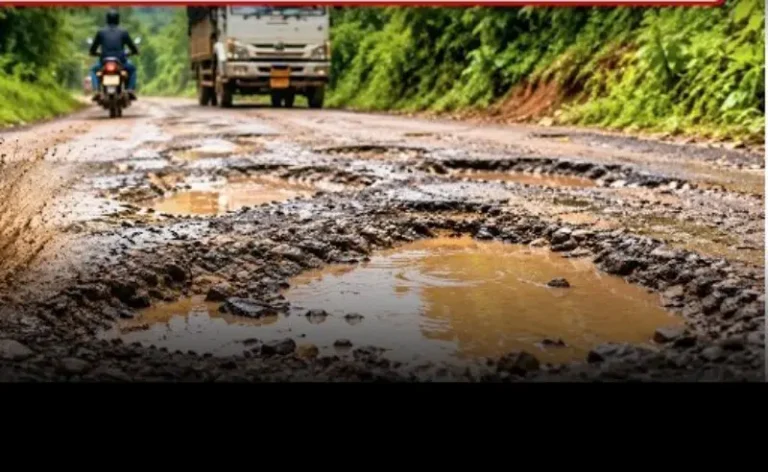 भुयार-मेंढेगाव मार्गावर खड्ड्यांचे साम्राज्य; वाहनधारकांचा जीव टांगणीला!