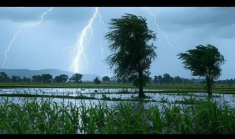 mansoon