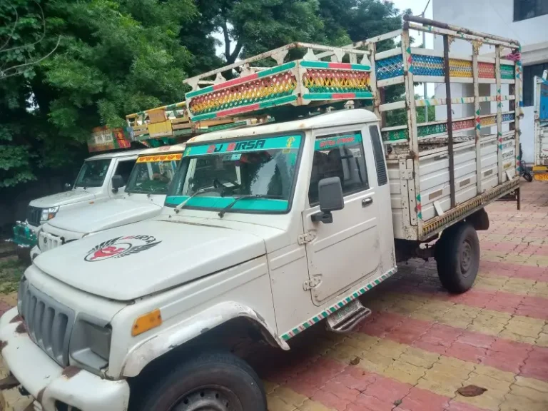 पशुप्रेमींच्या सतर्कतेमुळे दोन गोवंशांना मिळाले जीवनदान