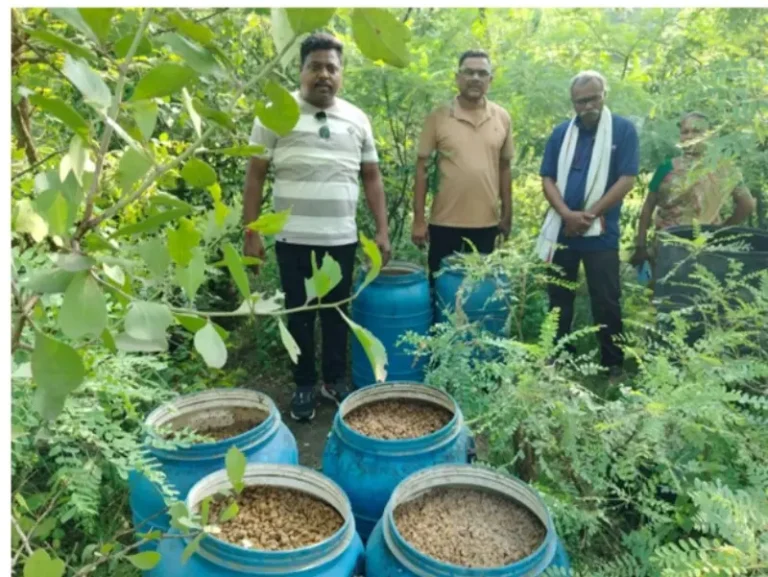 कारधा पोलिसांची धडक कारवाई: २.१२ लाखांचा अवैध सडवा मोहाफास जप्त