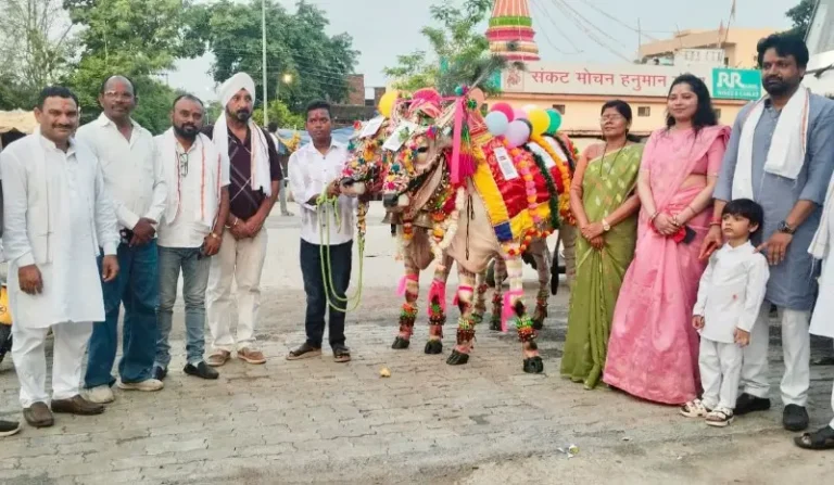 टाकळी येथे पारंपरिक बैलपोळा मोठ्या उत्साहात संपन्न