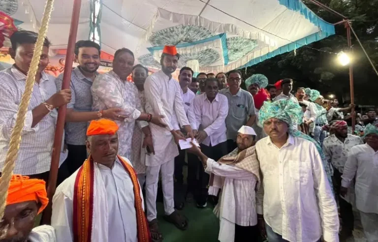 मोवाड शहरात पोळा सन उत्साहात