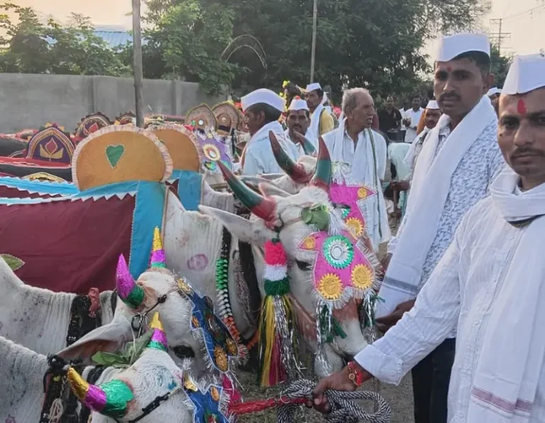 मोहागांव सावंगी येथे उत्साहात पोळा साजरा