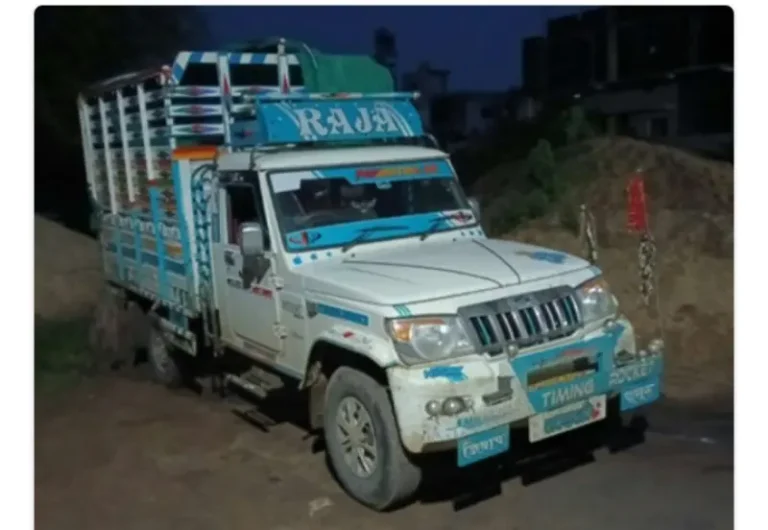बोलेरो पिकअपमधून १० जनावरांची अवैध वाहतूक; वरठी पोलिसांची धडक कारवाई, ९ लाखांचा मुद्देमाल जप्त
