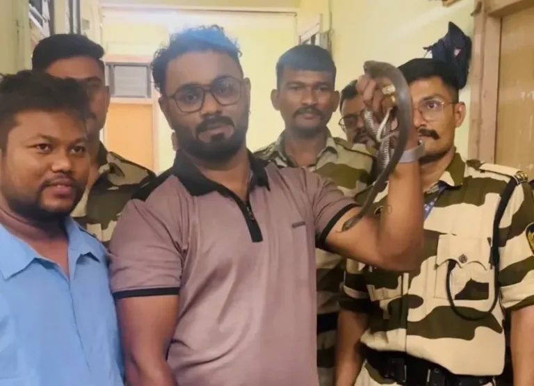 मार्ड हॉस्टल के डॉक्टर रूम में घुसा सांप