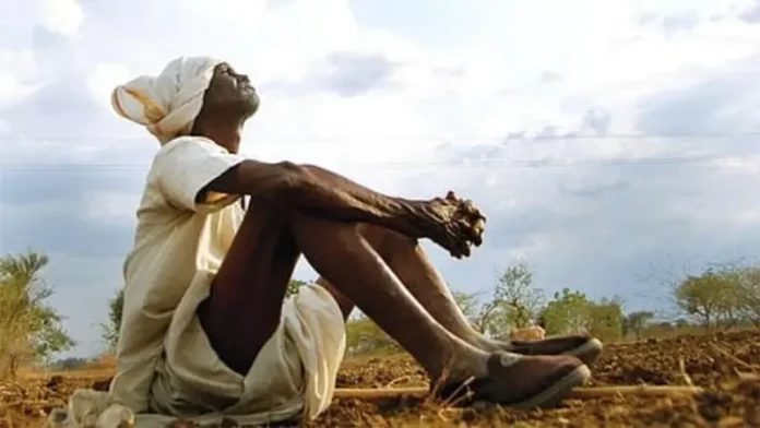 farmer_2