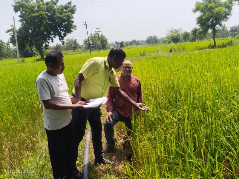 दुष्काळग्रस्त तालुक्यांतील पीक नुकसानीचे पंचनामे युद्धपातळीवर दुष्काळग्रस्त तालुक्यांतील पीक नुकसानीचे पंचनामे युद्धपातळीवर