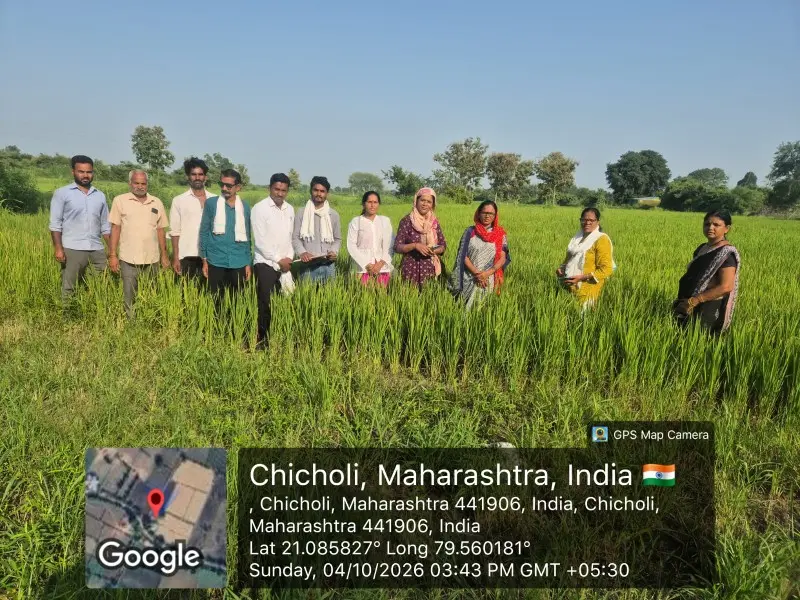 चिचोली येथे दुष्काळग्रस्त पीक नुकसानीचे पंचनामे युद्धपातळीवर सुरू चिचोली येथे दुष्काळग्रस्त पीक नुकसानीचे पंचनामे युद्धपातळीवर सुरू
