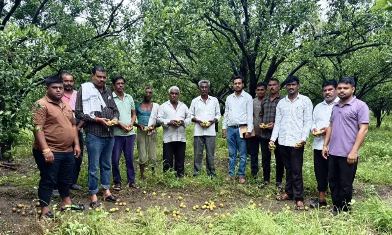 मुख्यमंत्री साहेब ५ हजारांत शेतकऱ्यांची दिवाळी कशी गोड होणार? मुख्यमंत्री साहेब ५ हजारांत शेतकऱ्यांची दिवाळी कशी गोड होणार?