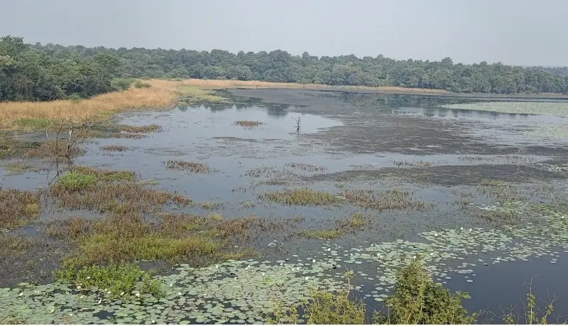 गोरवाड़ा तालाब में गंदे पानी का प्रवाह जारी गोरवाड़ा तालाब में गंदे पानी का प्रवाह जारी