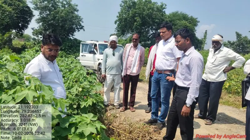 दुष्काळी परिस्थितीच्या पार्श्वभूमीवर कामठी तालुक्यात पीक नुकसानीचे पंचनामे सुरू दुष्काळी परिस्थितीच्या पार्श्वभूमीवर कामठी तालुक्यात पीक नुकसानीचे पंचनामे सुरू