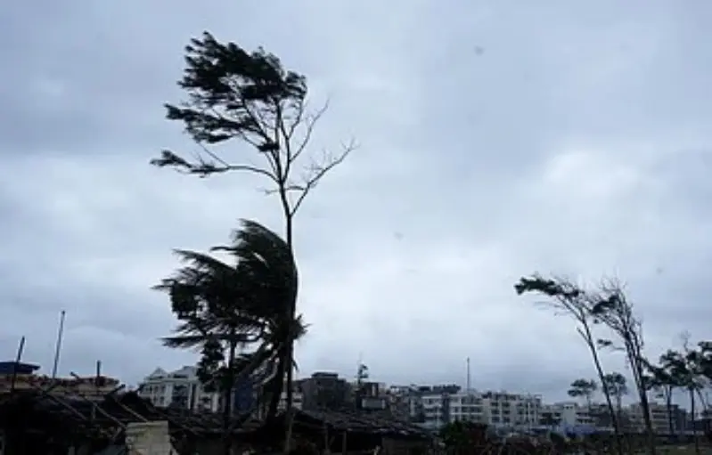 बदला मौसम, छाए बादल; विदर्भ में गिरा पारा बदला मौसम, छाए बादल; विदर्भ में गिरा पारा