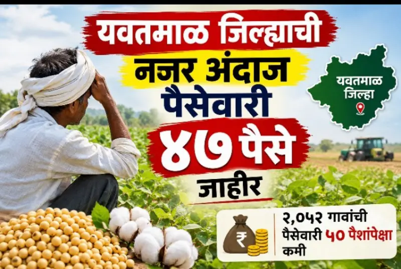 जिल्ह्याची नजर अंदाज पैसेवारी ४७ पैसे जाहीर जिल्ह्याची नजर अंदाज पैसेवारी ४७ पैसे जाहीर