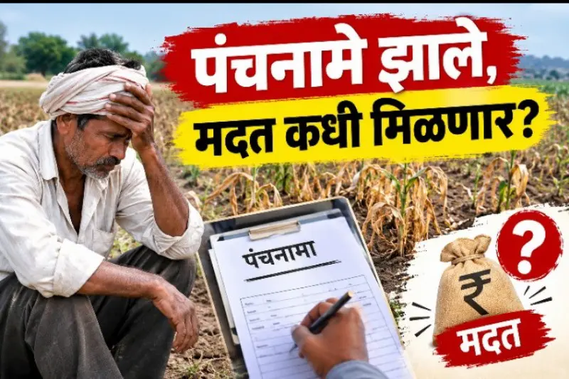 पंचनामे झाले, मदत कधी मिळणार? पंचनामे झाले, मदत कधी मिळणार?