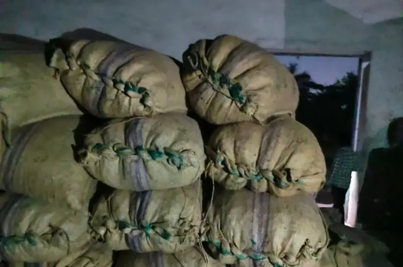 वडोदा में ट्रकों में लदी सड़ी सुपारी जब्त वडोदा में ट्रकों में लदी सड़ी सुपारी जब्त