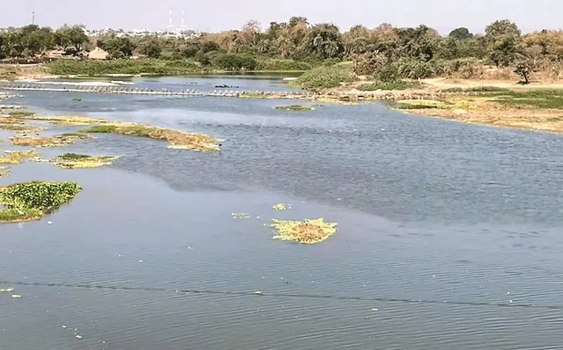 तोतलाडोह में पानी आधा, संकट गहराया तोतलाडोह में पानी आधा, संकट गहराया